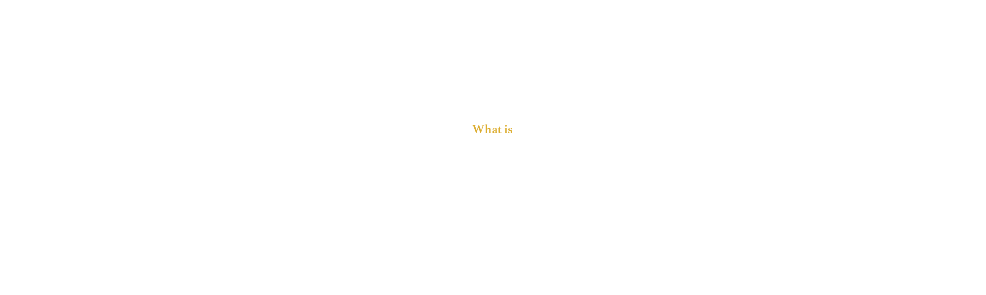 新疆料理とは